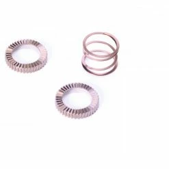 Mavic Kit Ratchet + Ressort Pour Corps De Roue Libre ID360 Route